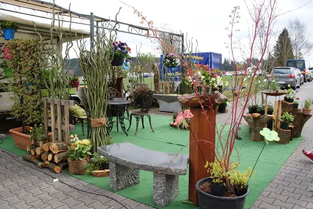 Kreßberger Frühling, Bild 4