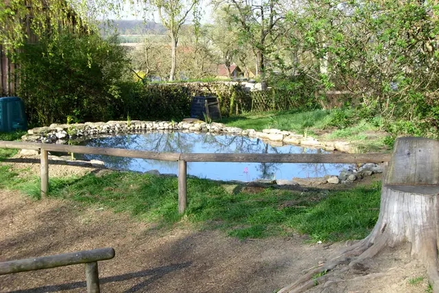 Gartenteiche, Bild 21
